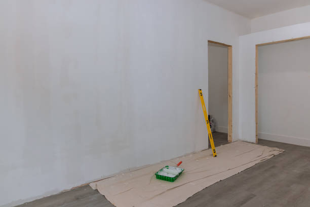 Best Black Mold Removal  in Willow Street, PA