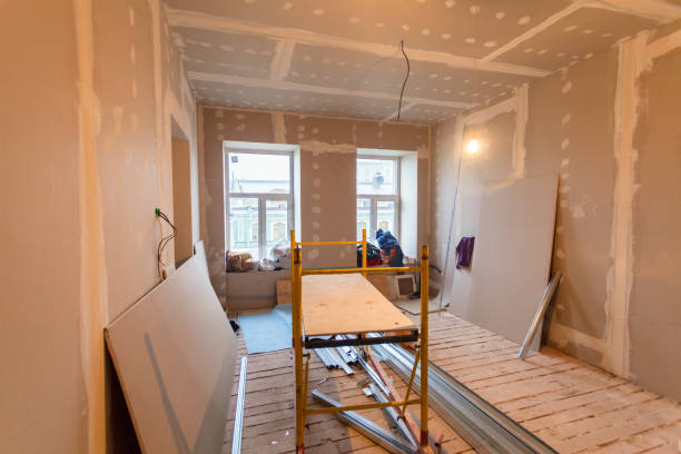 Best Forensic Mold Investigation  in Willow Street, PA